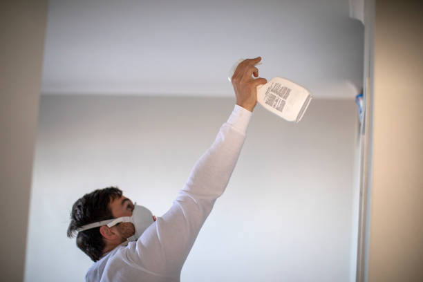 Best Attic Mold Removal  in Petoskey, MI